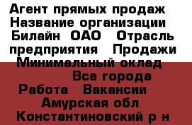 Агент прямых продаж › Название организации ­ Билайн, ОАО › Отрасль предприятия ­ Продажи › Минимальный оклад ­ 15 000 - Все города Работа » Вакансии   . Амурская обл.,Константиновский р-н